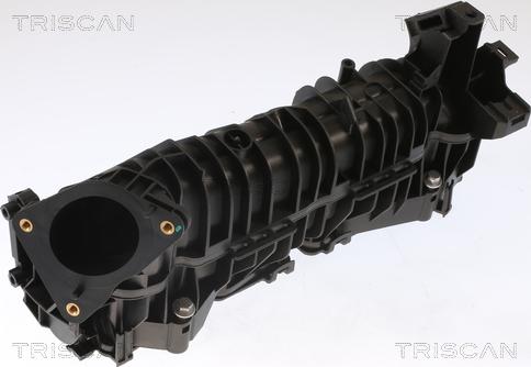 Triscan 8910 11101 - Tube d'admission, alimentation d'air droxauto.com