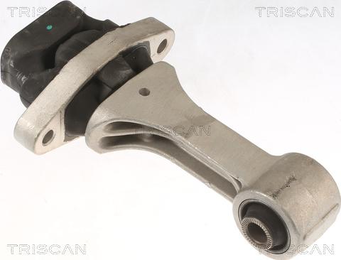Triscan 8505 43109 - Support moteur droxauto.com