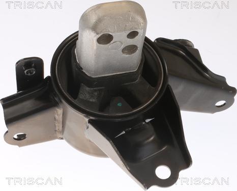 Triscan 8505 43107 - Support moteur droxauto.com