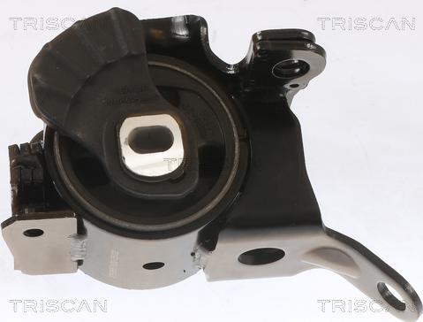 Triscan 8505 50100 - Support moteur droxauto.com