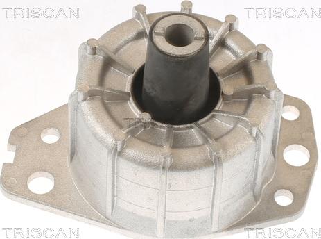 Triscan 8505 15109 - Support moteur droxauto.com