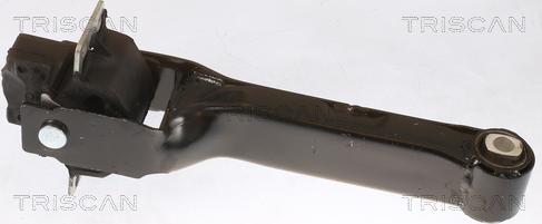 Triscan 8505 16103 - Support moteur droxauto.com