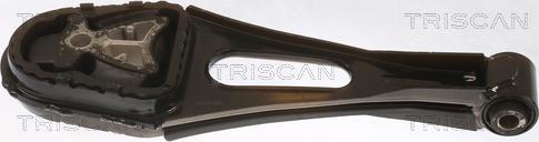 Triscan 8505 16114 - Support moteur droxauto.com