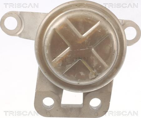 Triscan 8505 10108 - Support moteur droxauto.com