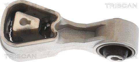 Triscan 8505 10107 - Support moteur droxauto.com