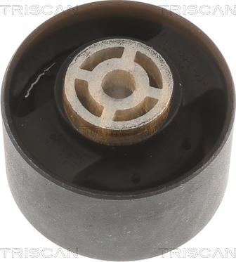 Triscan 8505 10113 - Support moteur droxauto.com