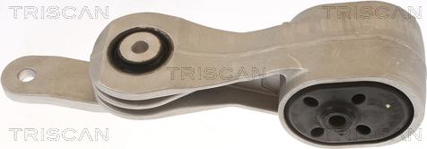Triscan 8505 10135 - Support moteur droxauto.com
