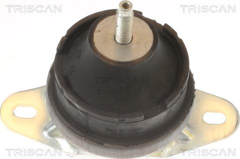 Triscan 8505 10131 - Support moteur droxauto.com