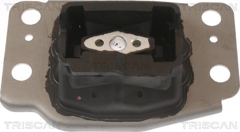 Triscan 8505 10137 - Support moteur droxauto.com