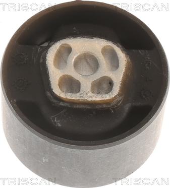 Triscan 8505 10121 - Support moteur droxauto.com