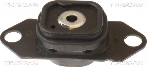 Triscan 8505 10202 - Support moteur droxauto.com