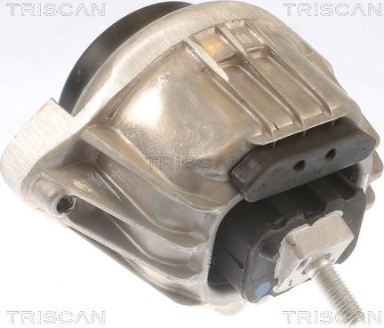 Triscan 8505 11105 - Support moteur droxauto.com