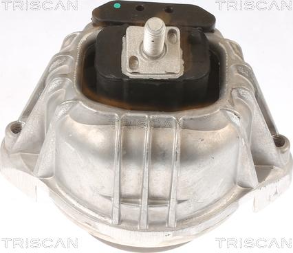 Triscan 8505 11106 - Support moteur droxauto.com