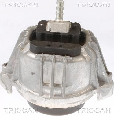 Triscan 8505 11103 - Support moteur droxauto.com