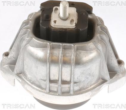 Triscan 8505 11107 - Support moteur droxauto.com