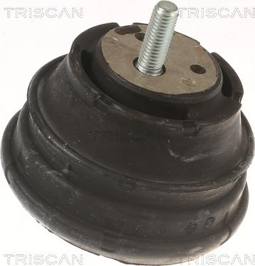 Triscan 8505 11112 - Support moteur droxauto.com