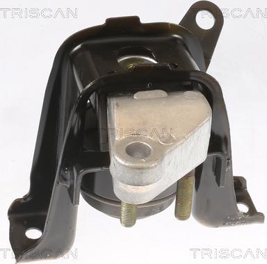 Triscan 8505 13100 - Support moteur droxauto.com