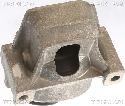 Triscan 8505 29196 - Support moteur droxauto.com