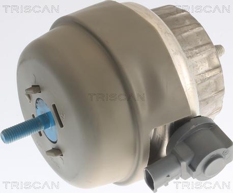 Triscan 8505 29141 - Support moteur droxauto.com