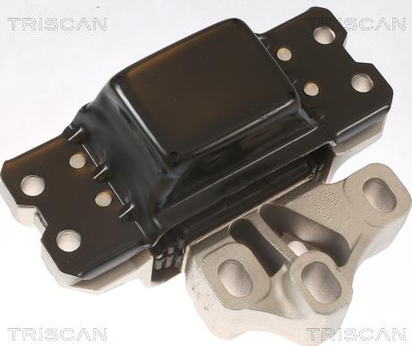 Triscan 8505 29159 - Support moteur droxauto.com