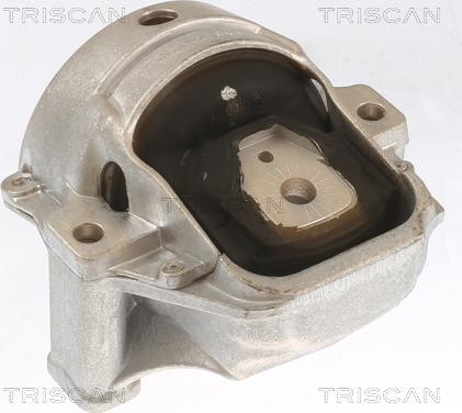 Triscan 8505 29155 - Support moteur droxauto.com