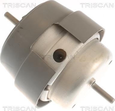 Triscan 8505 29169 - Support moteur droxauto.com
