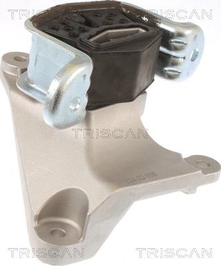 Triscan 8505 29165 - Support moteur droxauto.com
