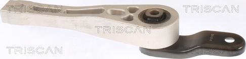 Triscan 8505 29109 - Support moteur droxauto.com