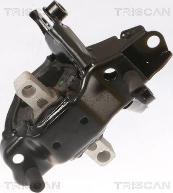 Triscan 8505 29103 - Support moteur droxauto.com
