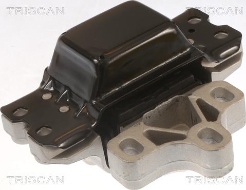 Triscan 8505 29116 - Support moteur droxauto.com