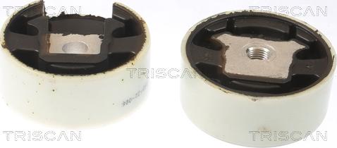 Triscan 8505 29188 - Support moteur droxauto.com