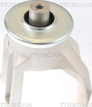 Triscan 8505 29187 - Support moteur droxauto.com