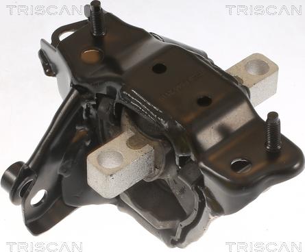 Triscan 8505 29139 - Support moteur droxauto.com