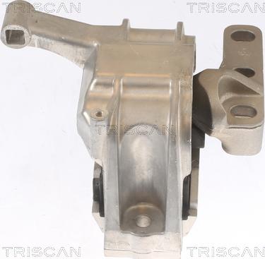 Triscan 8505 29134 - Support moteur droxauto.com