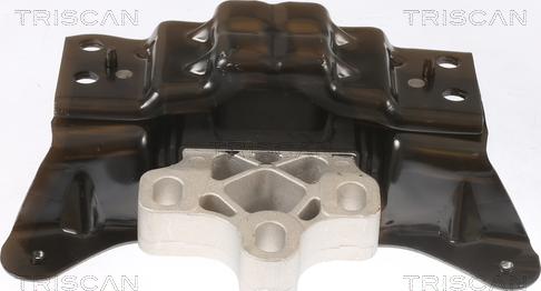 Triscan 8505 29135 - Support moteur droxauto.com