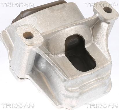 Triscan 8505 29130 - Support moteur droxauto.com