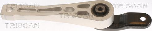 Triscan 8505 29132 - Support moteur droxauto.com