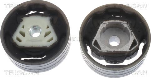 Triscan 8505 29137 - Support moteur droxauto.com