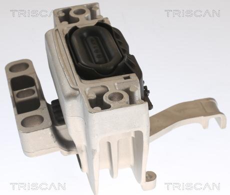 Triscan 8505 29129 - Support moteur droxauto.com