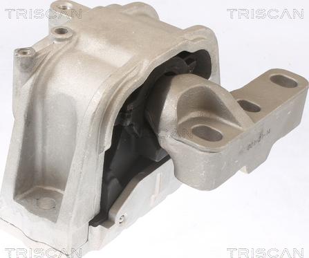 Triscan 8505 29124 - Support moteur droxauto.com