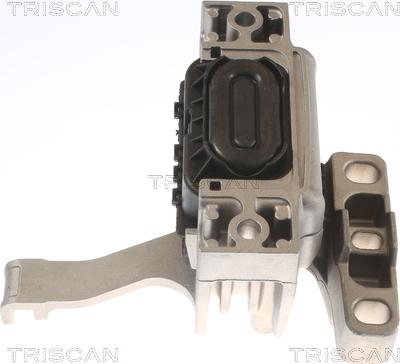 Triscan 8505 29128 - Support moteur droxauto.com