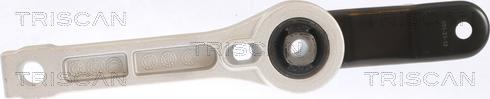 Triscan 8505 29123 - Support moteur droxauto.com