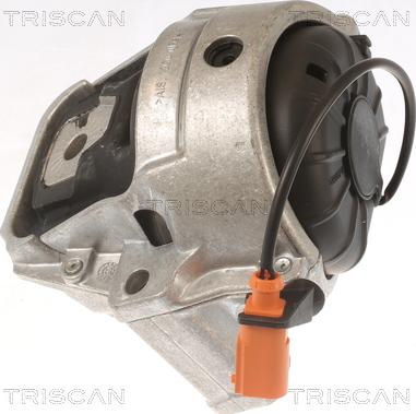Triscan 8505 29178 - Support moteur droxauto.com