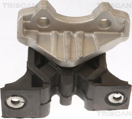 Triscan 8505 24109 - Support moteur droxauto.com