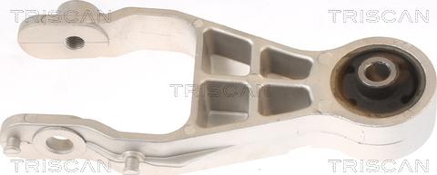 Triscan 8505 24104 - Support moteur droxauto.com