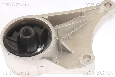 Triscan 8505 24102 - Support moteur droxauto.com