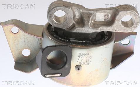Triscan 8505 24113 - Support moteur droxauto.com