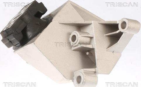 Triscan 8505 25110 - Support moteur droxauto.com