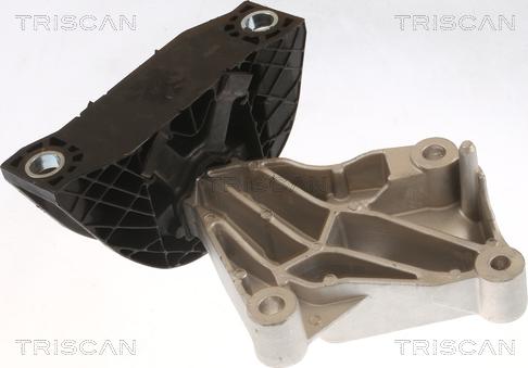 Triscan 8505 25118 - Support moteur droxauto.com