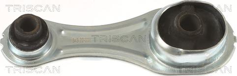Triscan 8505 25126 - Support moteur droxauto.com